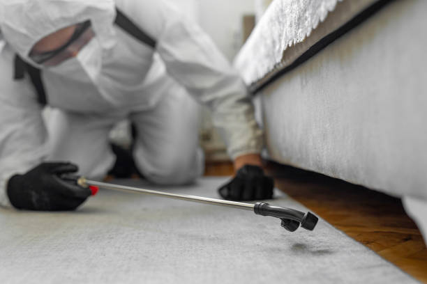 Professional Termite Control technician working in Pleasant Hills, MD
