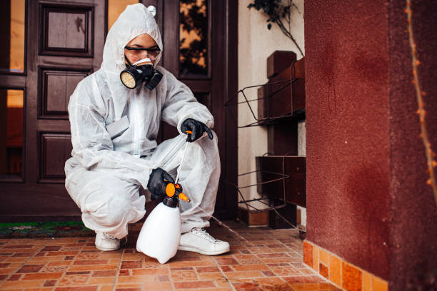 Reliable Termite Control contractor in Pleasant Hills, MD by Nex Pest Control